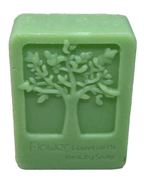Aloe Vera Soap