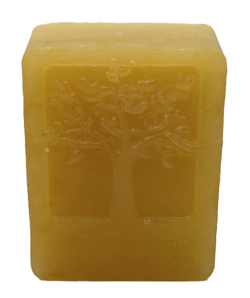 Clove Soap
